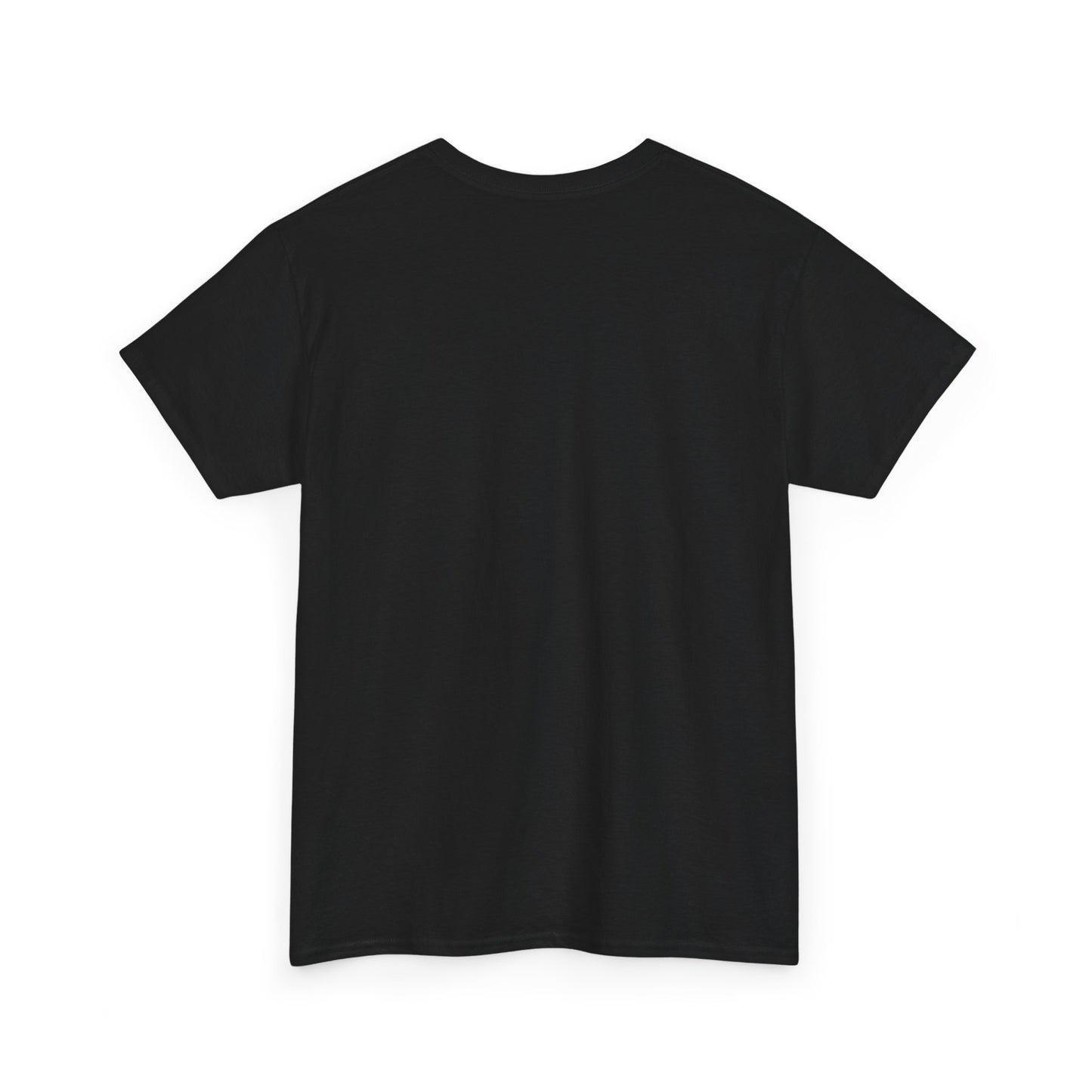 Plain Black T-Shirt For Custom Designs