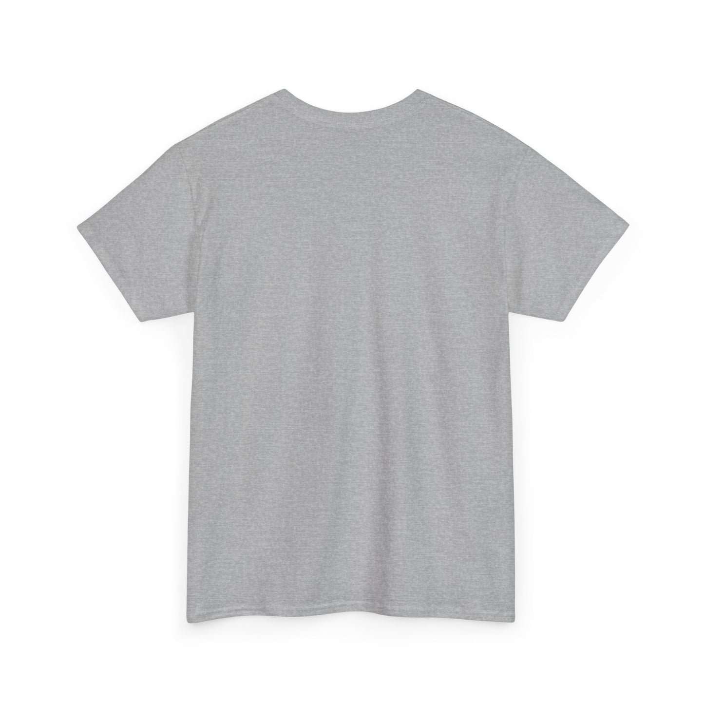 Plain Grey T-Shirt For Custom Designs