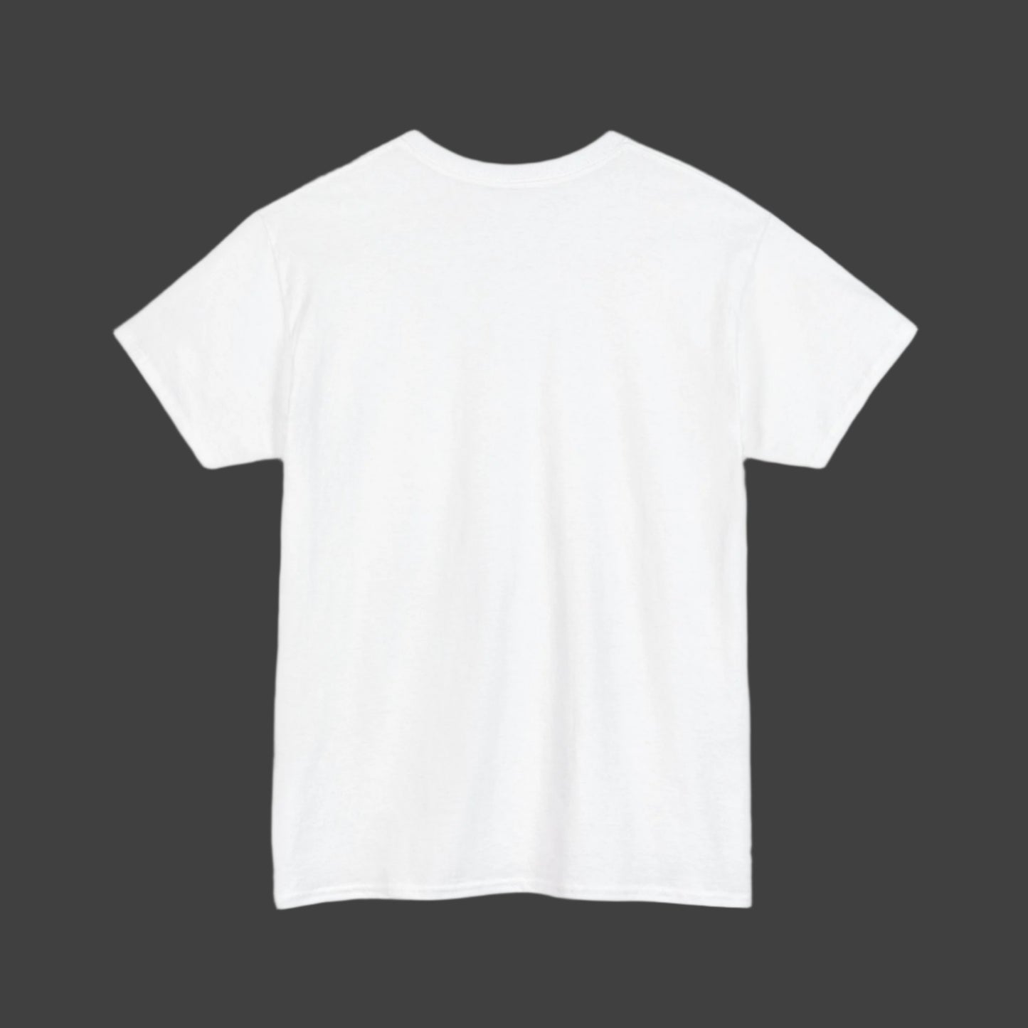Plain White T-Shirt For Custom Designs